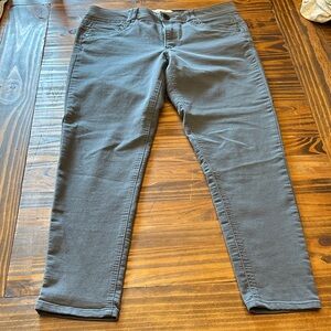Democracy Gray Skinny Jeans